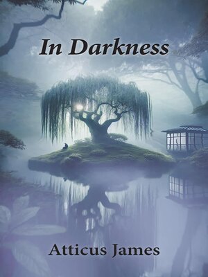 cover image of In Darkness
